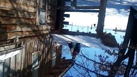 HEATHER HACKER ROOF SLEDING