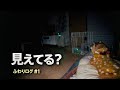 最近..家の様子が少し変です