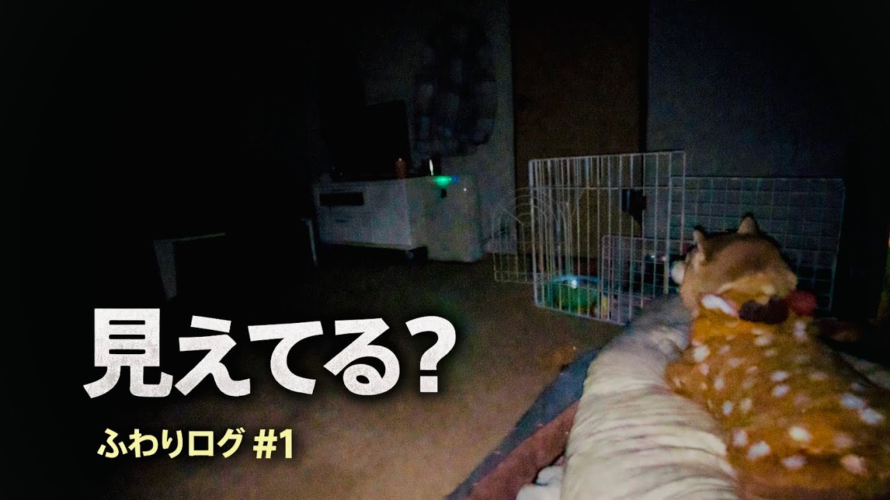 最近..家の様子が少し変です