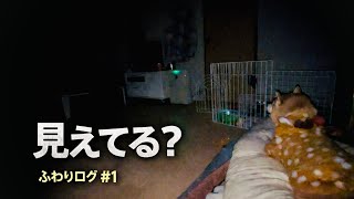 Download Lagu Recently, the house has been acting a little strange. MP3