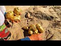 The villagers called them "golden potatoes", and I smashed them open. Gems, diamonds, gold 金，钻石，宝石