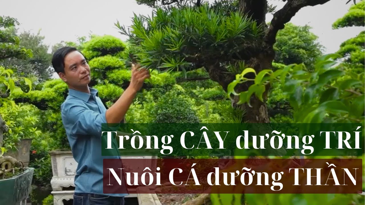 Anh Đĩnh Sân Vườn - Tự Hào Làng Nghề Cây Cảnh Điền Xá, Nơi Nuôi Dưỡng Vẻ Đẹp Cho Đời