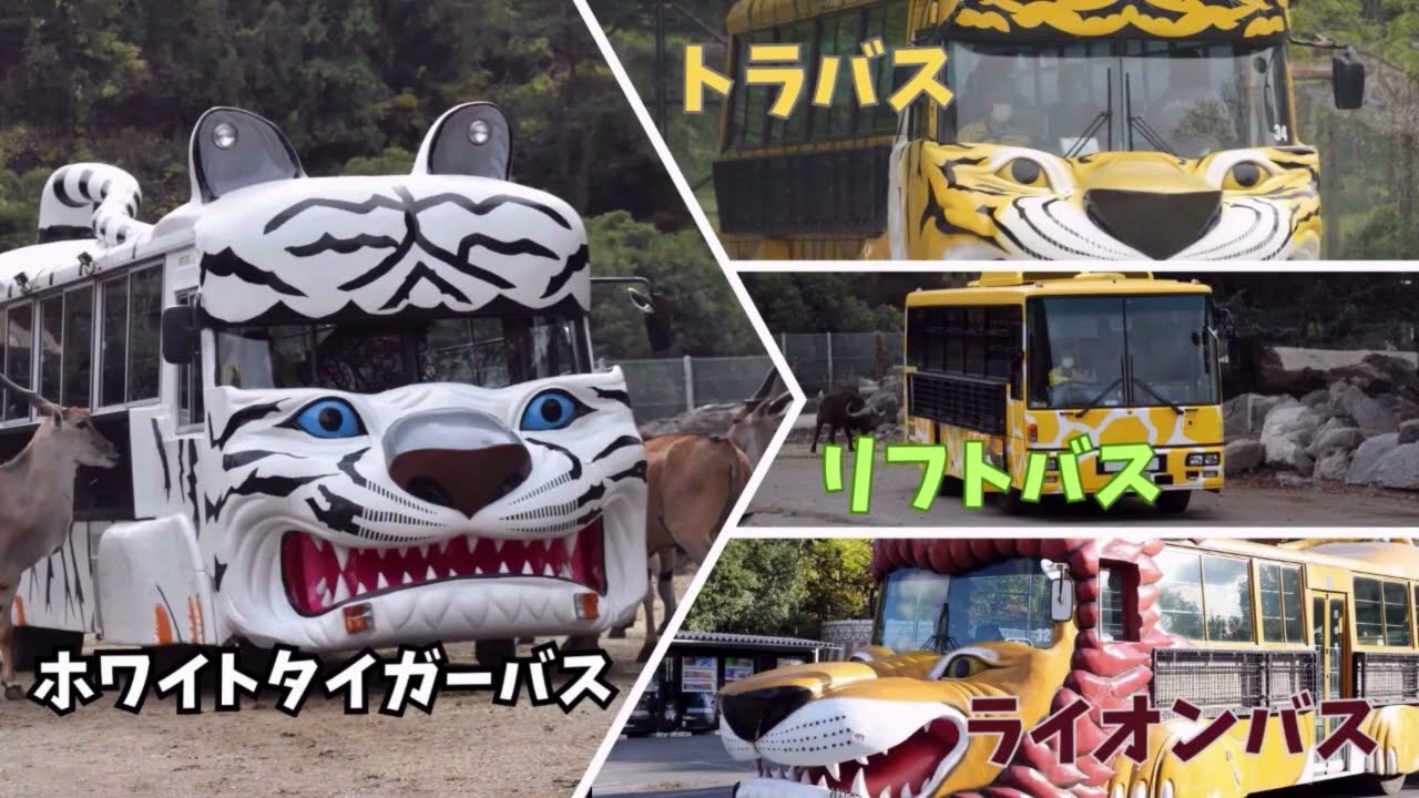 当日朝7時まで購入可】入園チケット＋エサやり体験バス | 群馬