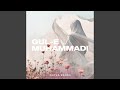 Gul E Muhammadi Gul E Muhammadi