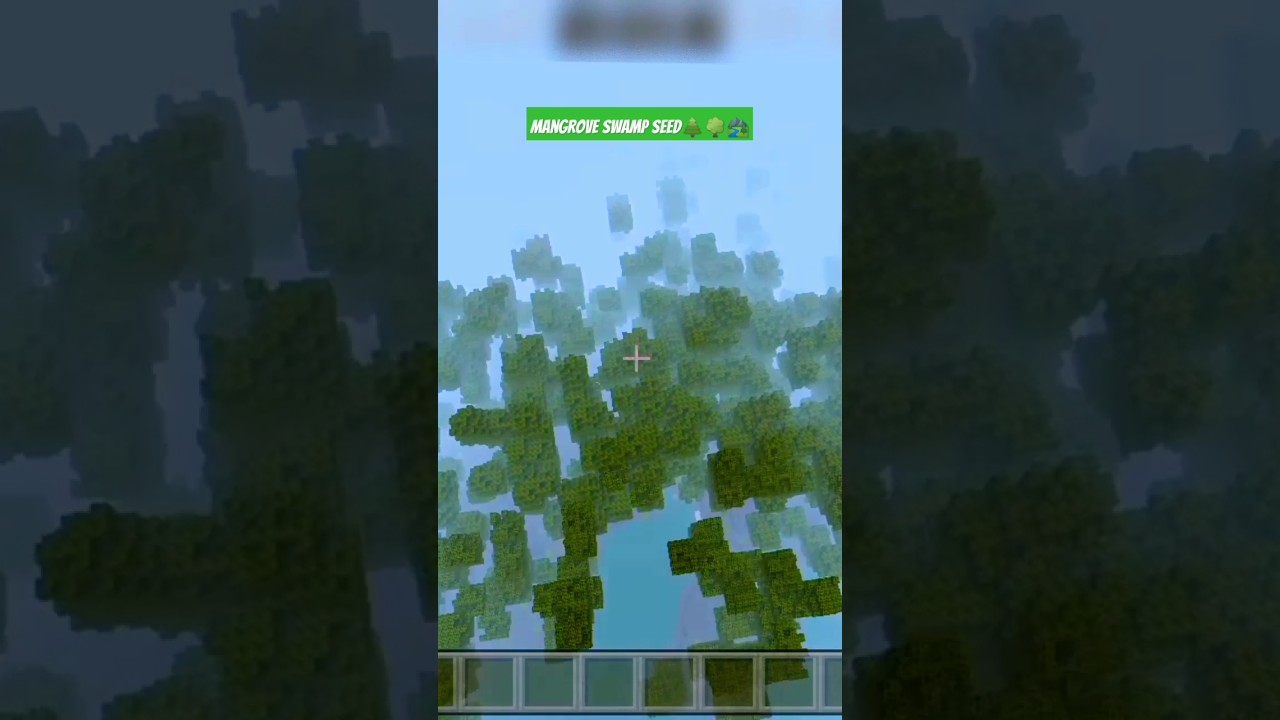 Mangrove swamp seed in Minecraft world 🏞️🌳|Minecraft 