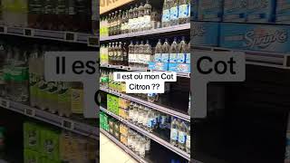 Il est où mon Cot Citron ?!  🤬