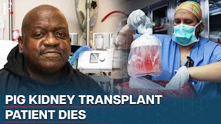 FirstEver Pig Kidney Transplant Patient Dies Nearly 2 Months After Procedure