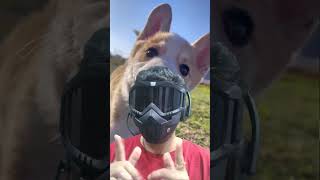 Lets catch printf() in C!