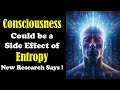 Human consciousness could be closely linked to entropy  scientists say