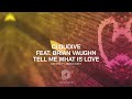 Cloudive - Tell Me What Is Love feat. Brian Vaughn (Deepinity Remix) [Intricate Records]