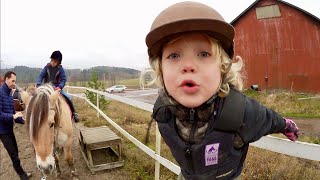 First Horseback Riding Lesson VLOG