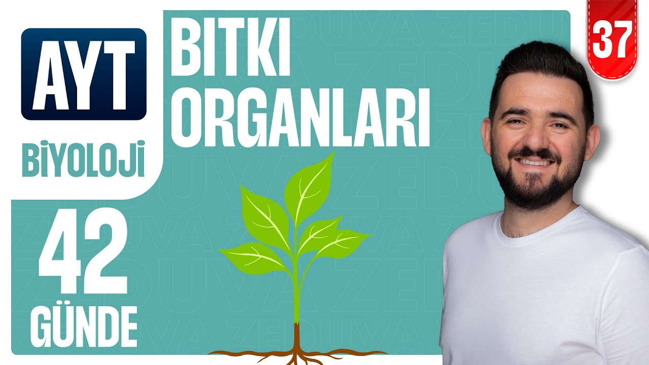 Bitki Organları | 42 GÜNDE AYRINTILI AYT BİYOLOJİ KAMPI 2026-2027 | 37.GÜN