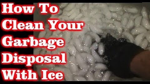 How To Clean Out A Garbage Disposal With Ice