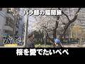 【パラシュート部隊】九州初上陸の大人気ベーグル「パラぶらり～福岡市中央区六本松」（2026年4月28日OA）
