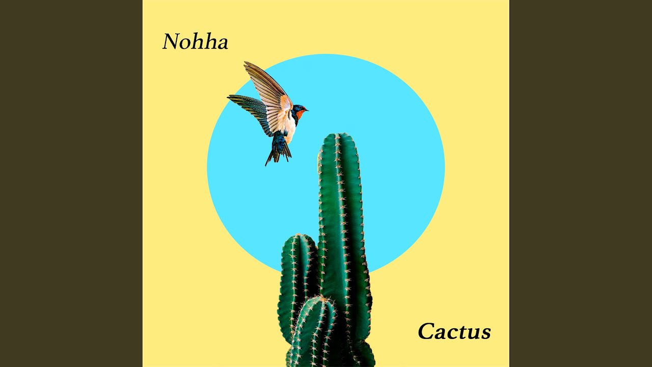 Obejrzyj Cactus w YouTube Obejrzyj Cactus w YouTube