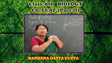 Leaf (Part-II) by BDG Ma