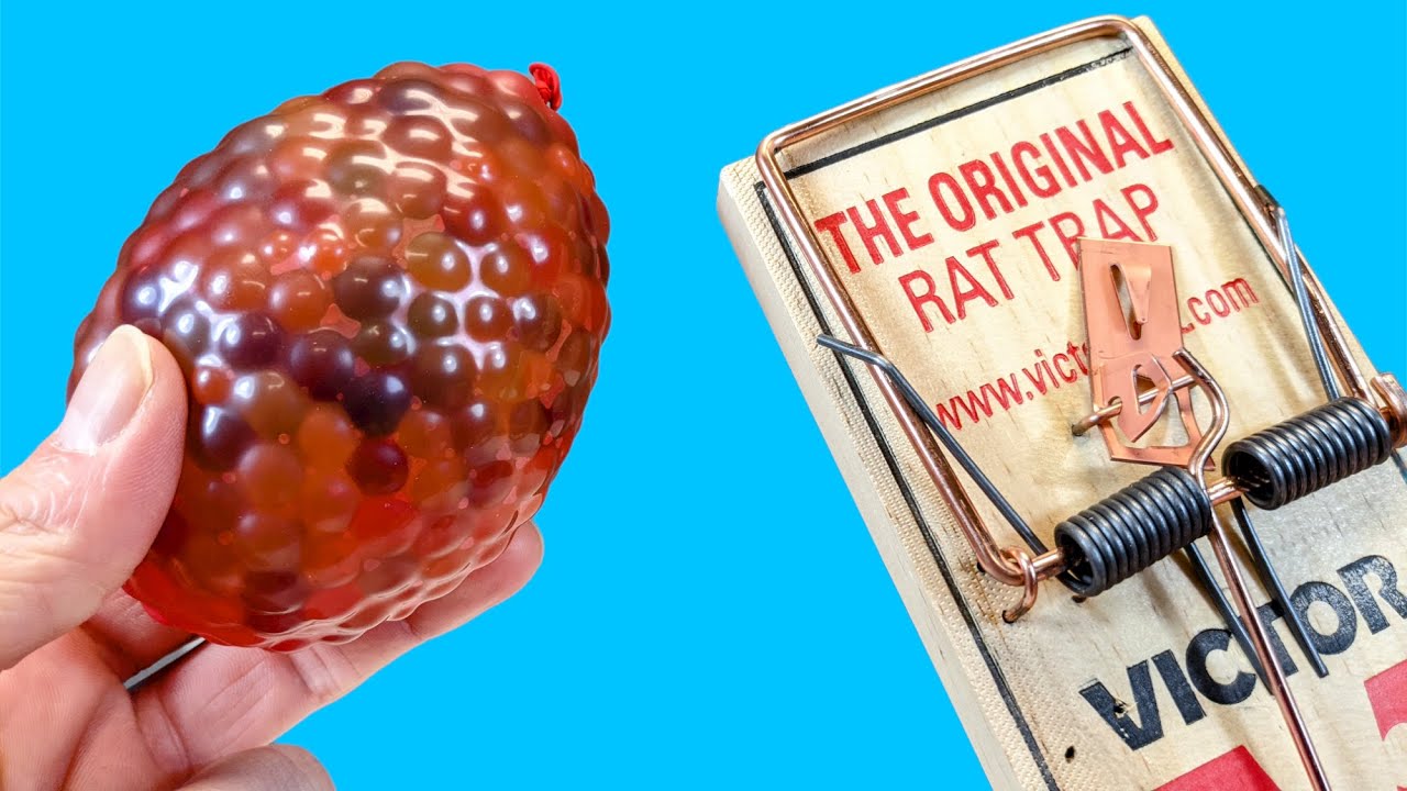 EXPERIMENT: RAT TRAP vs ORBEEZ WATER BALLOON - Satisfying Video