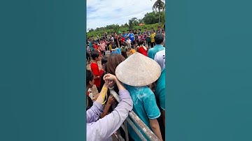 bịt mắt bắt heo