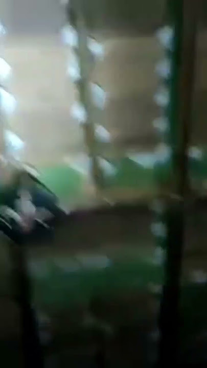 suara inap walet paling banyak digunakan oleh para petani walet super