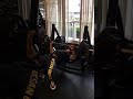 175lbx5 Bench Press