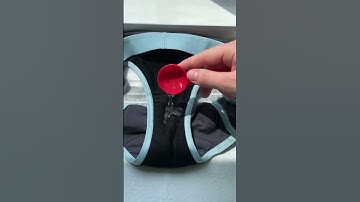 Does Period Underwear actually work?