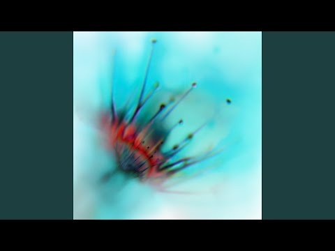 Παρακολούθηση Vignette στο YouTube