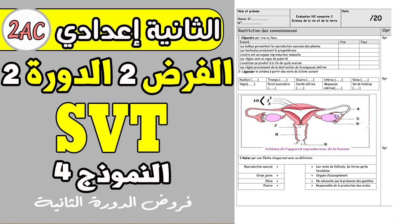 contrôle 2 semestre 2 svt 2 année collège