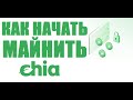 Chia.Как начать майнить на жестком диске