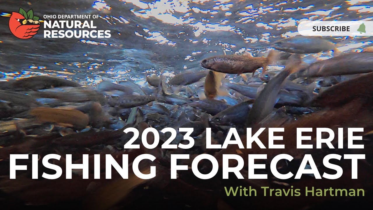 2023 Lake Erie Fishing Forecast with Travis Hartman 