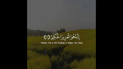۞ فآمن له لوط ۘ وقال إني مهاجر إلى ربي ۖ إنه هو العزيز الحكيم #عبد_الرحمن_مسعود سورة (العنكبوت) 26