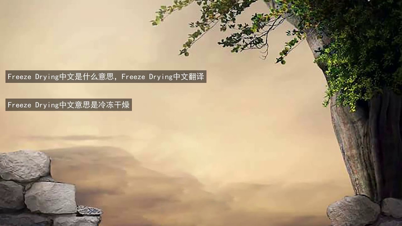 Freeze Drying中文是什么意思 Freeze Drying中文翻译 Youtube