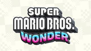 Palace Theme (Instrumental) - Super Mario Bros. Wonder