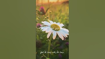 الشيخ عبد الفتاح الطاروطي.. نوادر روعه اجمل ما قراء ممتاز جدا نادر #تلاوات