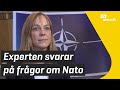 Fem frågor om Nato med experten Malena | Lilla Aktuellt