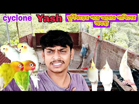 The condition of the birds after the cyclone, ঘূর্ণিঝড় ইয়াসের পরে আমার পাখির অবস্থা, cyclon Yash