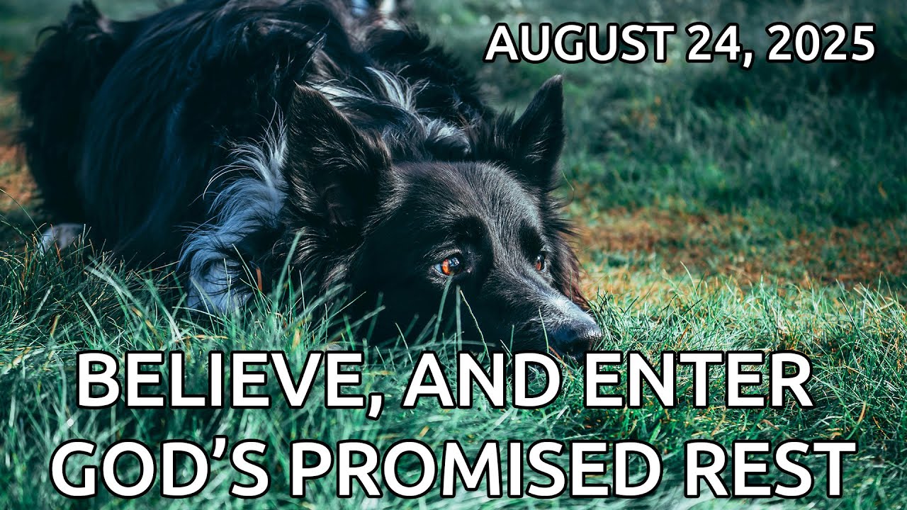 Believe, and Enter Into God's Promised Rest