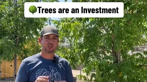 🌳Trees are an Investment.