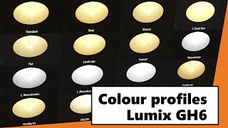 Color Profiles Comparison: Panasonic Lumix GH6 incl. V-Log and Cinelike