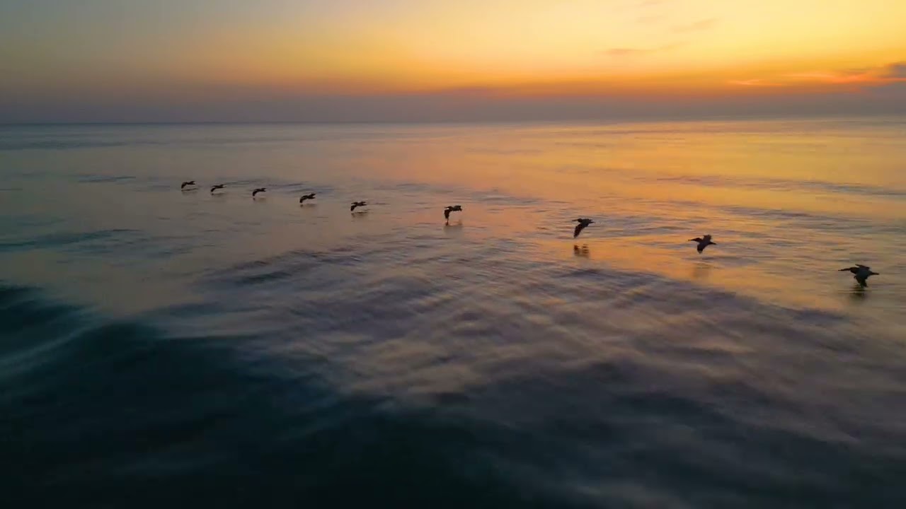 Drone Shots in Daytona Beach