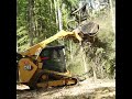 From Standing Timber to Fine Mulch | F&amp;P Forestry in Action