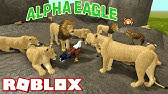 How To Hack Wild Savannah On Roblox