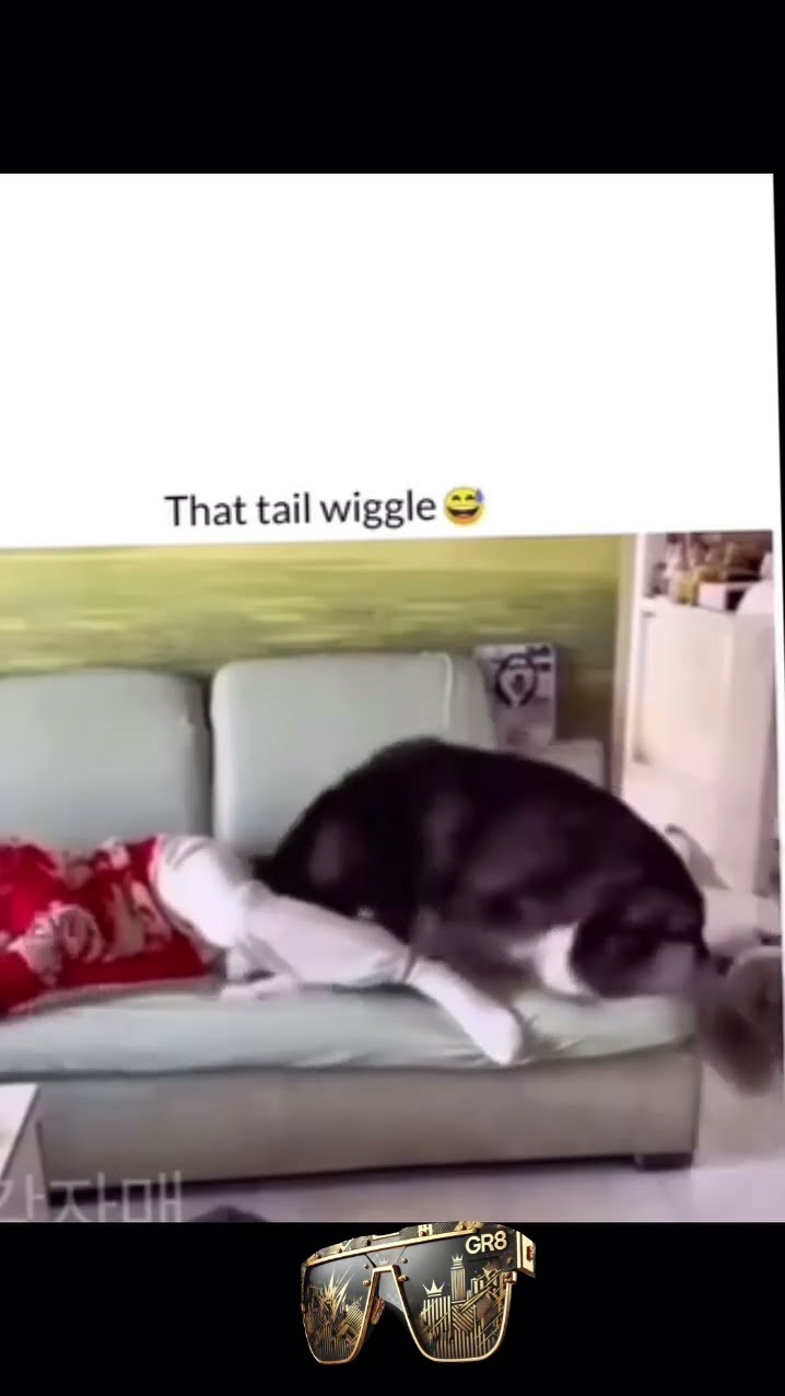He just wanted some lovin