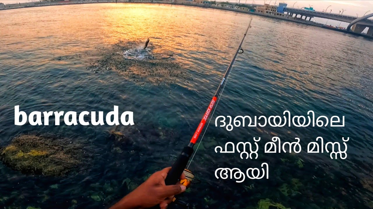 my first Dubai fishing missed barracuda ! bluewater fishing world YouTube