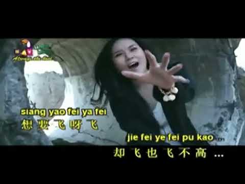 wo shi yi zhi xiao xiao niao   Huang Jia Jia   REMIX KARAOKE