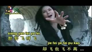 wo shi yi zhi xiao xiao niao   Huang Jia Jia   REMIX KARAOKE