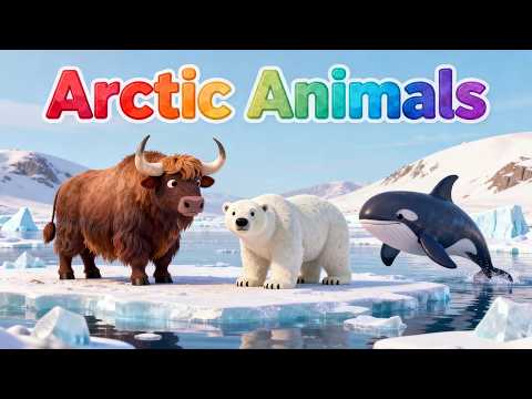 Toddler Learning Numbers, ABC, Animals, Kids Songs, Baby Songs |Cartoon Nursery Rhymes & Kids Videos