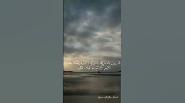 سورة النمل للقارئ الشيخ عبد الباسط عبد الصمد #قرآن #الشيخ #سورة #آيات