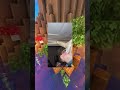 Funny Instagram Comments | Part 9