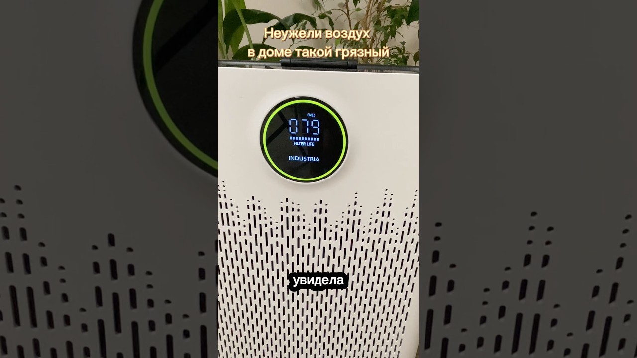 Неужели воздух в доме такой грязный?