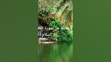 #تلاوة_خاشعة #تلاوات #قرآن #قران_كريم #راحة_نفسية #هدوء #اكسبلور #اكسبلور_explore